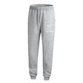 Streken Pant Grey Melange S Men's Sweatpant